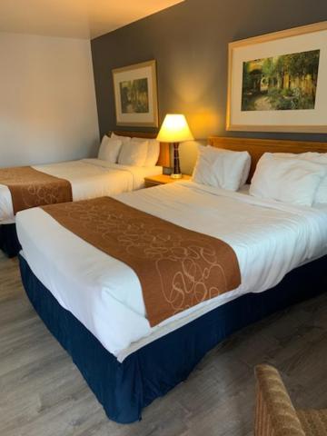 Adobe Motel Durango