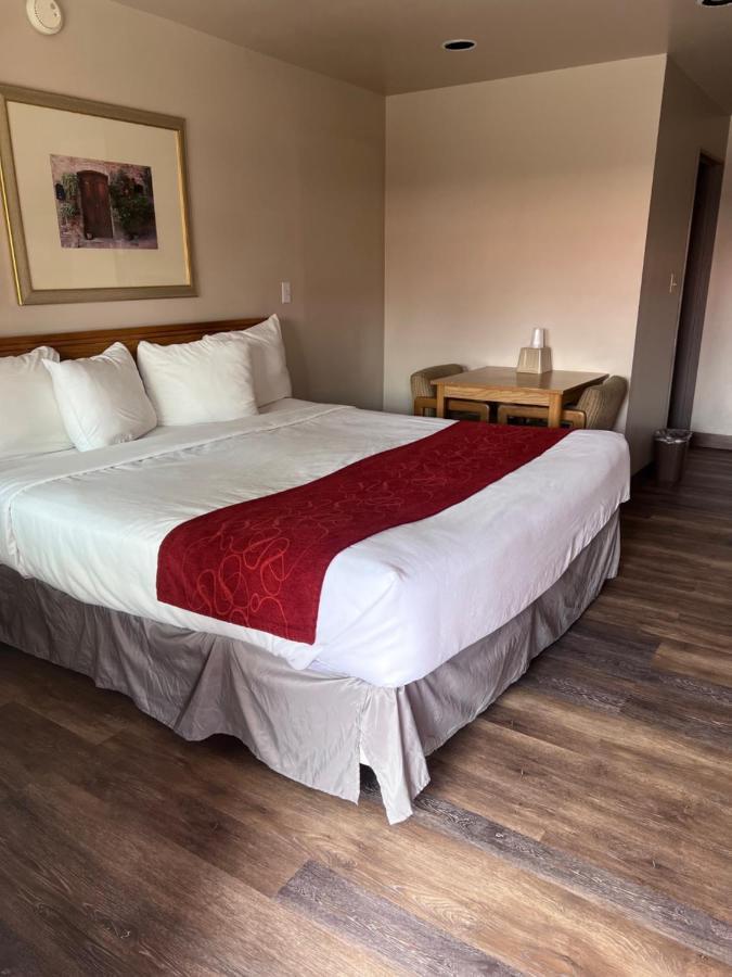 Motel Adobe 3*